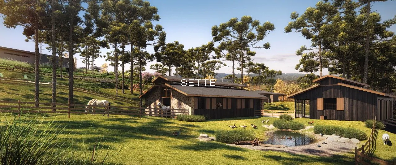 iAg9W619l_7669c2f361c909a