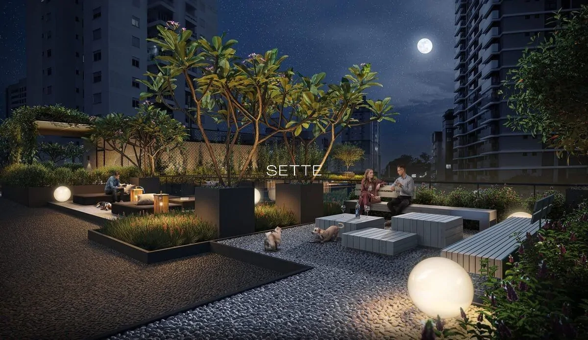 ibfu87_7269c182ba59e33