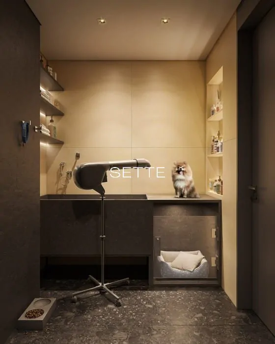 ibfu87_7269c182cde4413